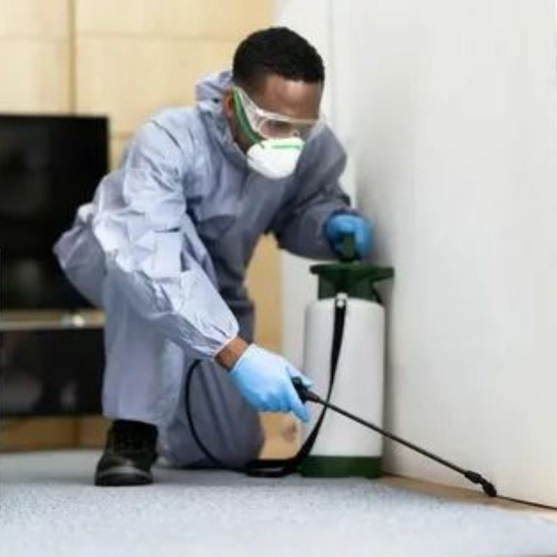 Pest control team leader